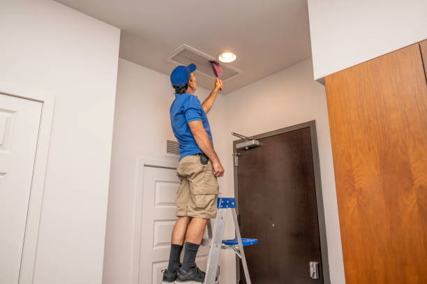 Best Local Air Duct Cleaning Services  in Lido Beach, NY